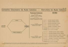 Conselho Diocesano da Ação Católica - Estrutura da Ação Católica
