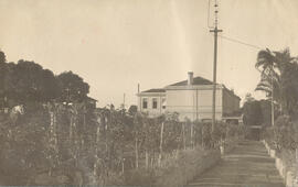 Instituto Agronomico