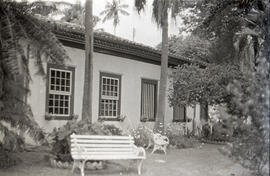 [Fazenda Palmeiras]