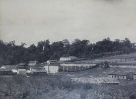 Fazenda Castano Miranda em São Manuel