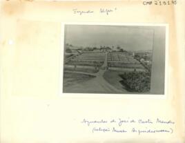[Fazenda Bonfim]