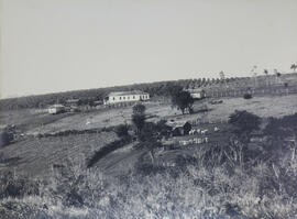 Vista Geral da fazenda de José Pupo em São Manoel