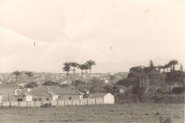 [Instituto Agronômico de Campinas]