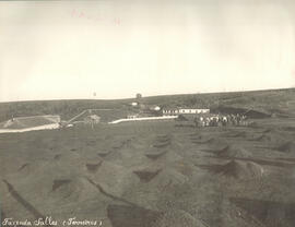 Fazenda Salles (Terreiros)