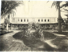 [Instituto Agronômico de Campinas]