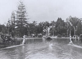 [Jardim da Luz]