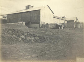 Fazenda Modelo de Piracicaba - Estábulos