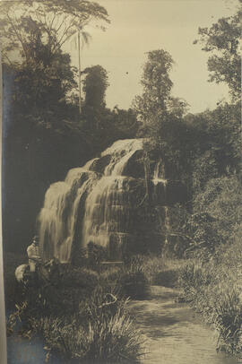 Floresta