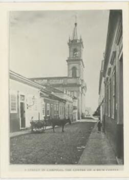 A street in Campinas, the centre of a rich cofee