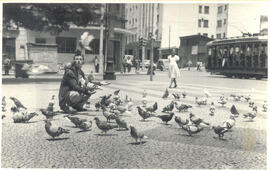 [Pombos no Largo do Rosário]