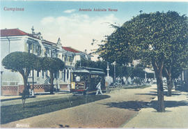 Avenida Andrade Neves