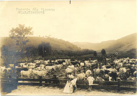Fazenda São Vicente