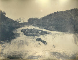 [Salto de rio]