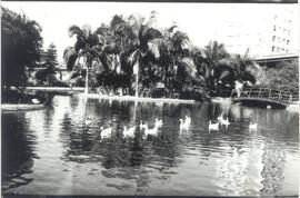 [Praça – Viaduto Miguel Vicente Cury]