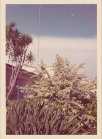 [Jardins]