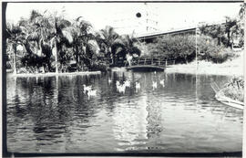 [Praça – Viaduto Miguel Vicente Cury]