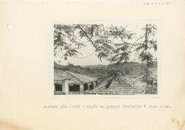 Fazenda São Pedro