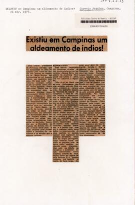 Existiu em Campinas um aldeamento de indios!