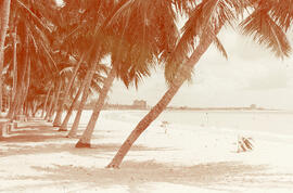 Praia de Tambaú