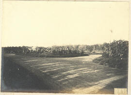 Parque da Escola Agrícola de Piracicaba