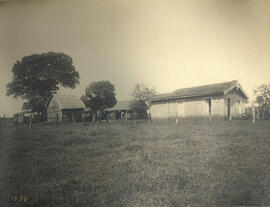 Casa de colono Angelo Capraro - Lote nº31