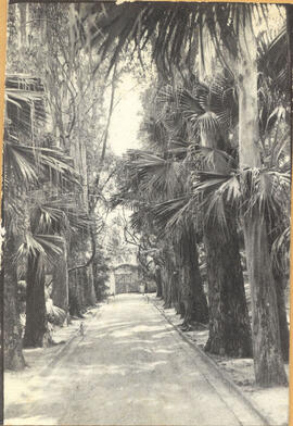 [Entrada da Fazenda Taquaral]
