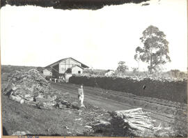 [Estação “Tatuca”]