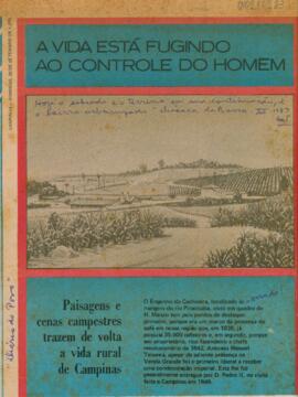 Paisagens e cenas campestres trazem de volta a vida rural de Campinas