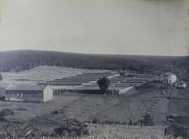 Fazenda Manduca em São Manoel