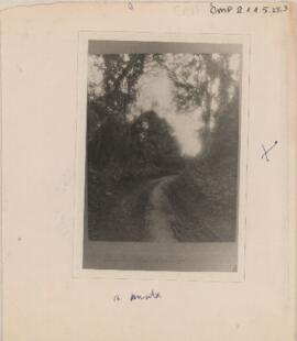 [Estrada de Terra]