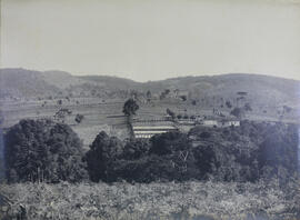 Fazenda de [?]ezinho em Vargem Grande