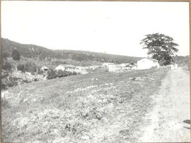 [Fazenda Mato Dentro]