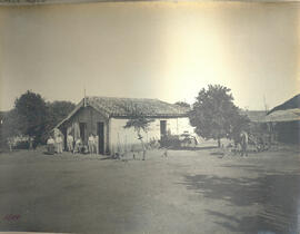 Casa de colono Aridretto Battista - Lote nº796