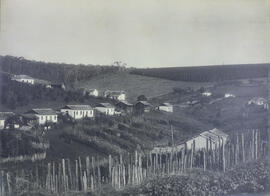 Colonia na fazenda de Celino Pupo em São Manoel