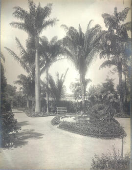 [Patio de entrada do Instituto]