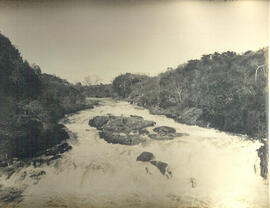 [Salto de rio]