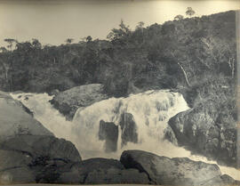 Salto do macaco