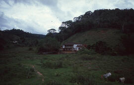 Estrada Ferros Fazenda