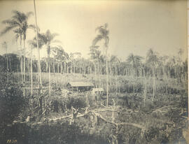 Casa de Colono - Gavião Peixoto