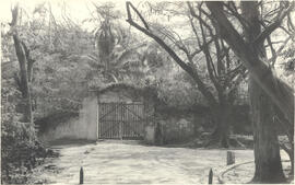 [Entrada da Fazenda Taquaral]